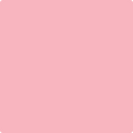 Benjamin Moore Color 1311 Confetti