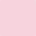 Benjamin Moore Color 1353 Rose Garden