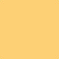 Benjamin Moore Color 172 Sunny Days