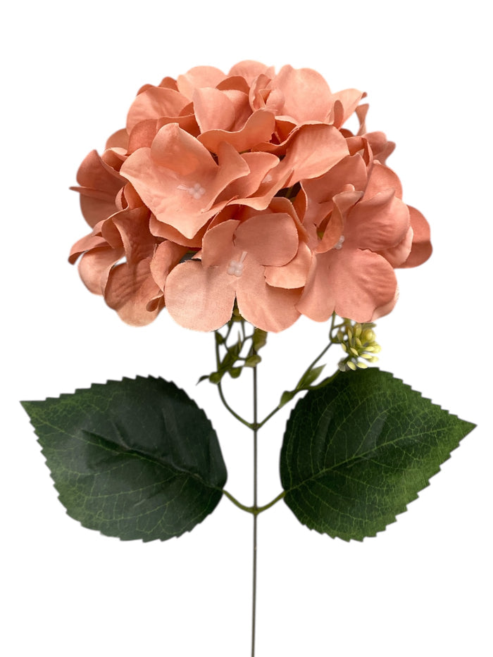18'' Pongee Hydrangea Bush ( INT24007-#21 Champagne )