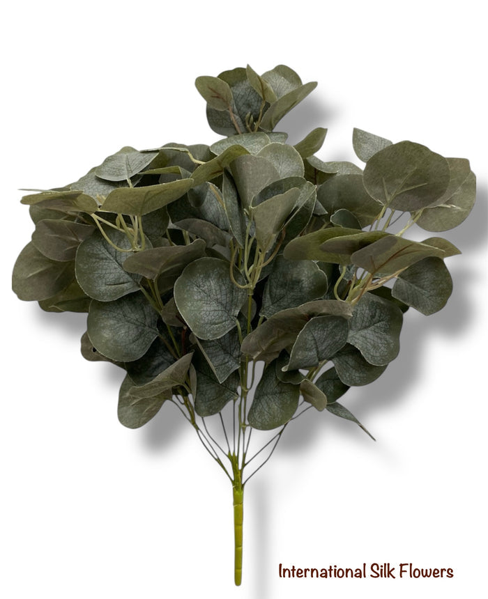 20'' EUCALYPTUS/DOLLAR  BUSH  ( INT1033 )
