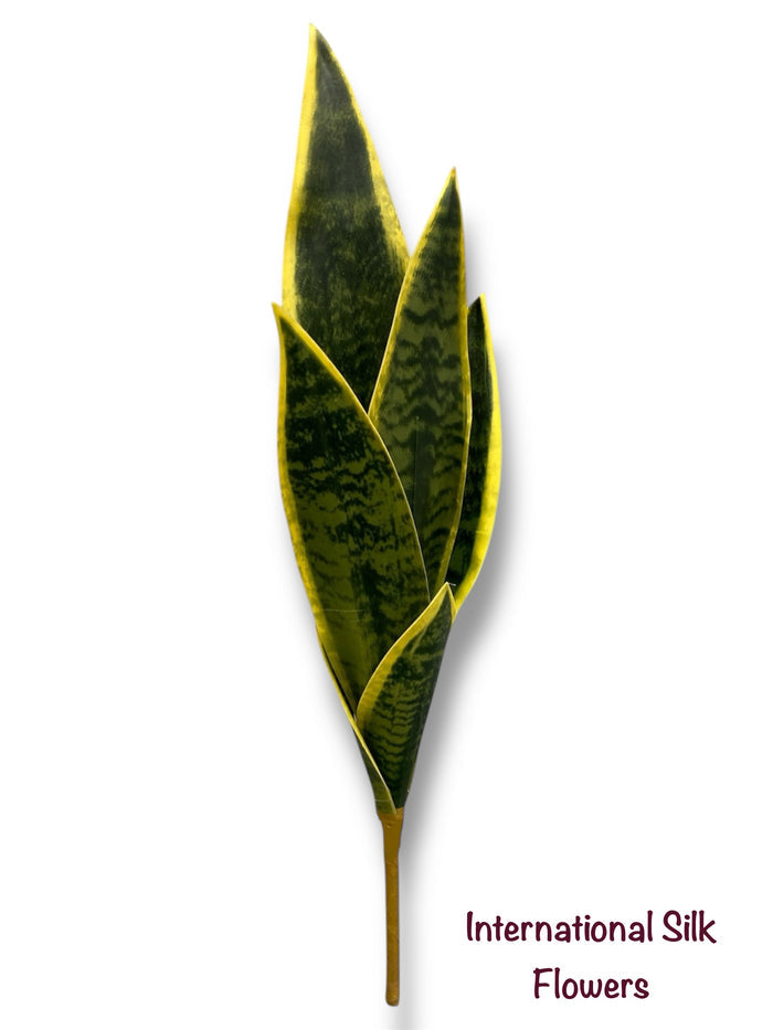 23'' Sanserveria Plant ( PS1217-GYL )