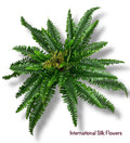 28'' Boston Fern Bush ( INT2849 )