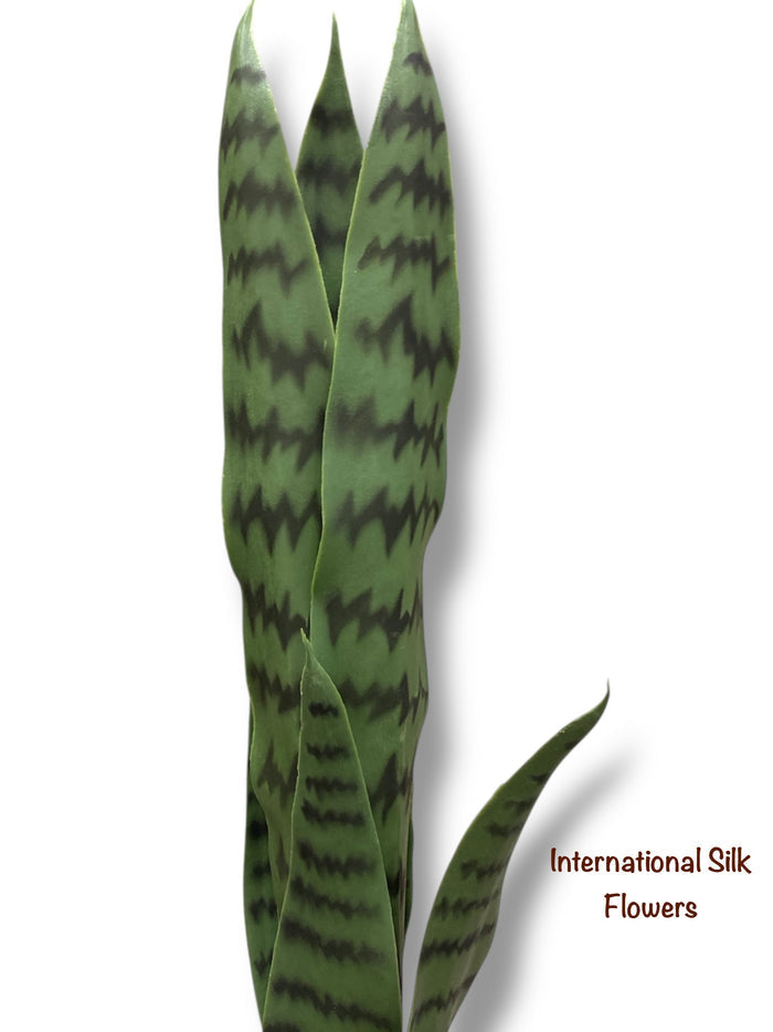 29'' Sansevieria Plant ( PS111-GR )
