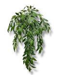 31'' Willow Leaves Bush ( INT047-Green )