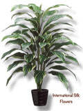 3.33' CORDYLINE PLANT ( LPC840-GR/WH )