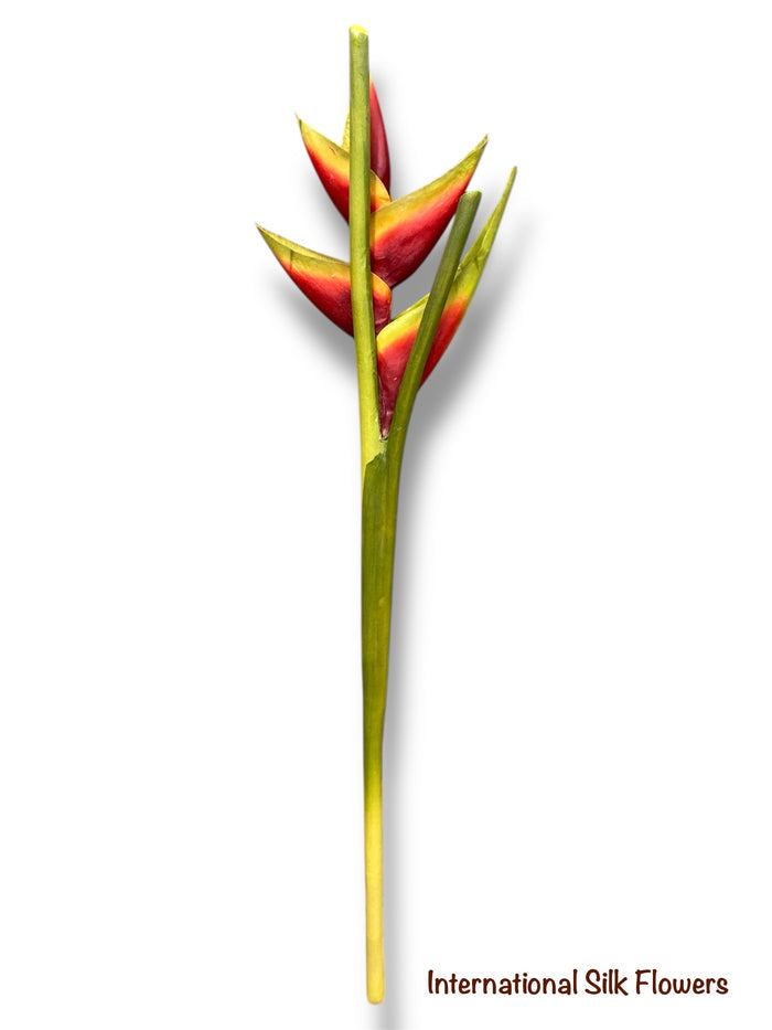 34" Hawaiian Heliconia Spray ( JYH754-Red )