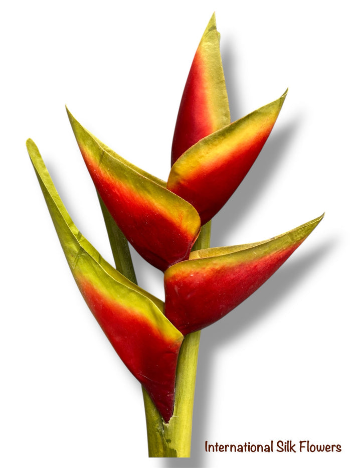 34" Hawaiian Heliconia Spray ( JYH754-Red )