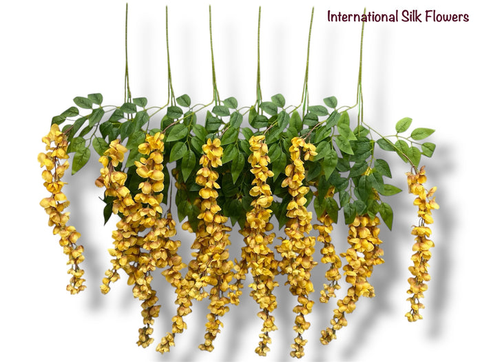37'' Cassia Fistula ( H3001-#13 Apricot Yellow  )