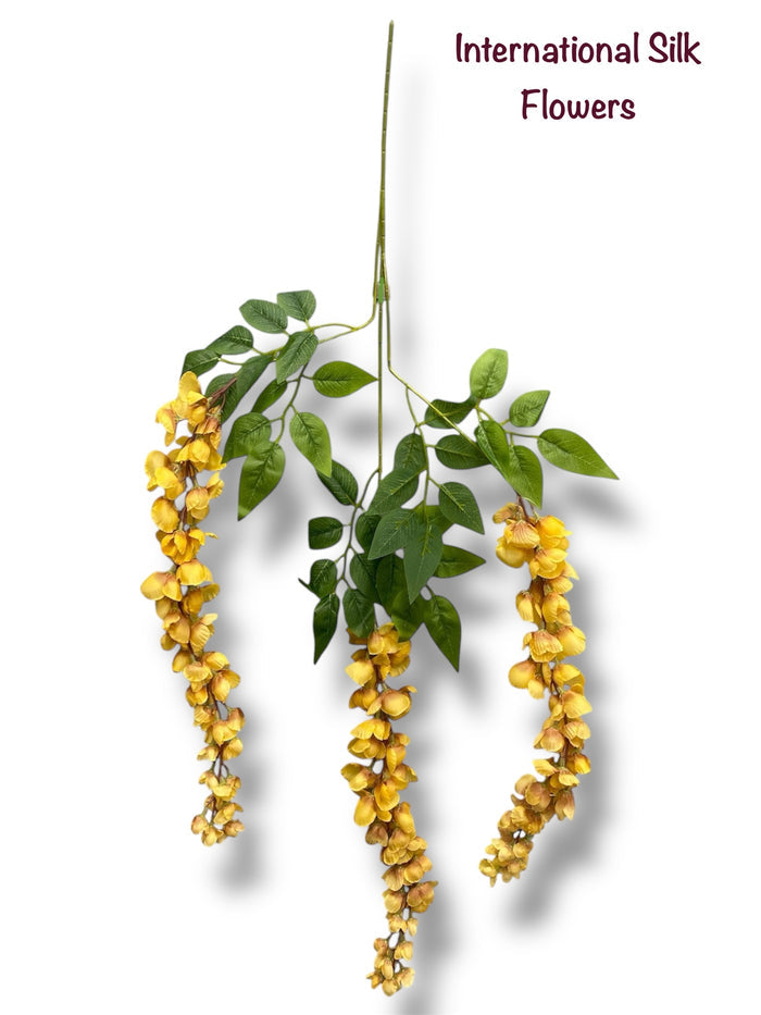 37'' Cassia Fistula ( H3001-#13 Apricot Yellow  )