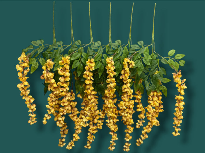 37'' Cassia Fistula ( H3001-#13 Apricot Yellow  )