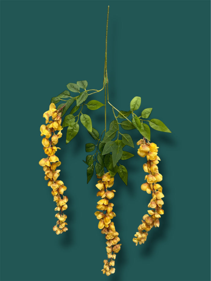 37'' Cassia Fistula ( H3001-#13 Apricot Yellow  )