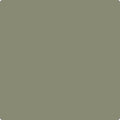 Benjamin Moore Color CC-722 Vine Land
