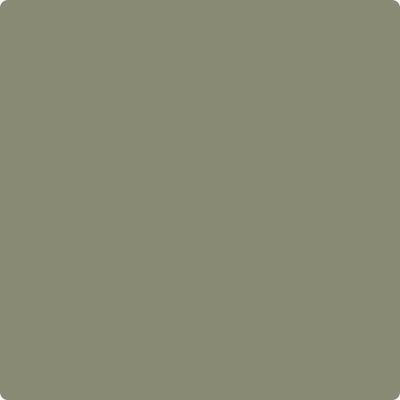 Benjamin Moore Color CC-722 Vine Land