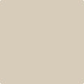 CSP-220 Lace Handkerchief
