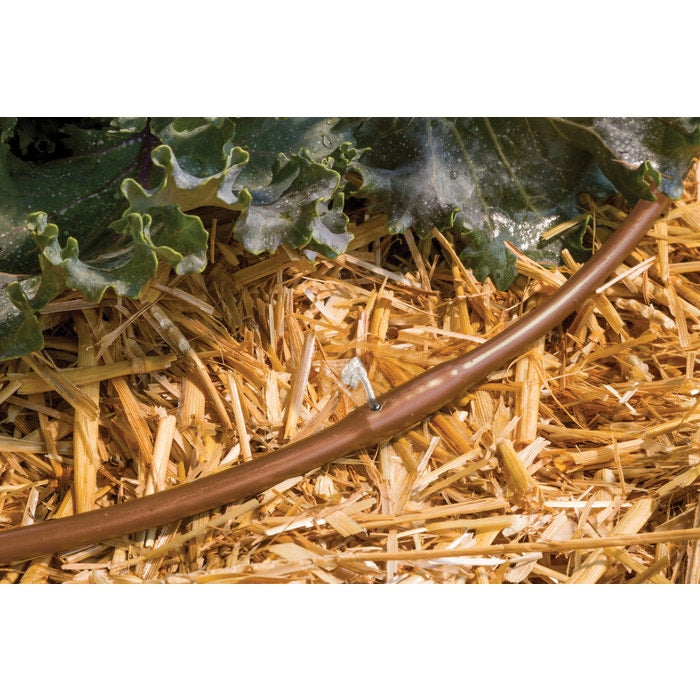 Rain Bird ET25-50S2 - 1/4 in. Emitter Tubing, 0.8 GPH with 12" Spacing, 50 ft.